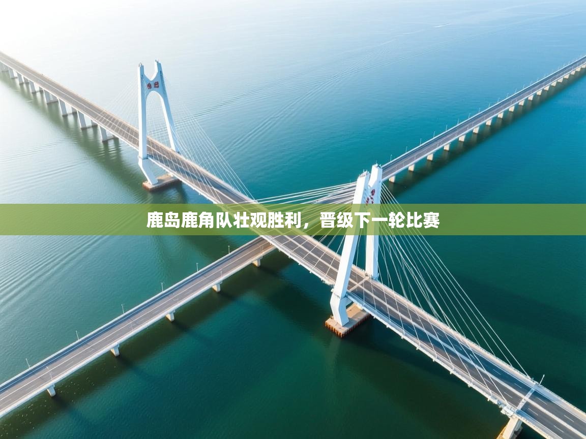 鹿岛鹿角队壮观胜利，晋级下一轮比赛  第2张