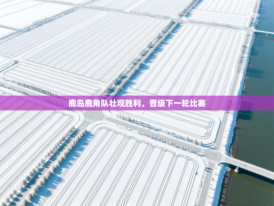 鹿岛鹿角队壮观胜利，晋级下一轮比赛  第1张