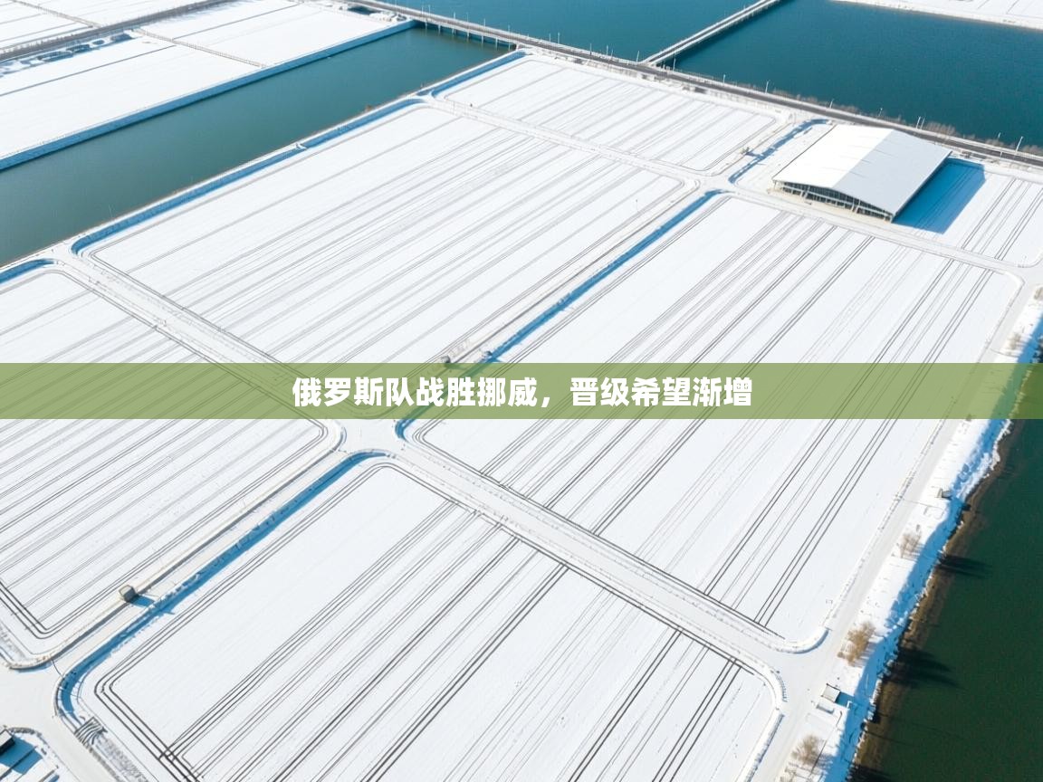 俄罗斯队战胜挪威,晋级希望渐增 第1张