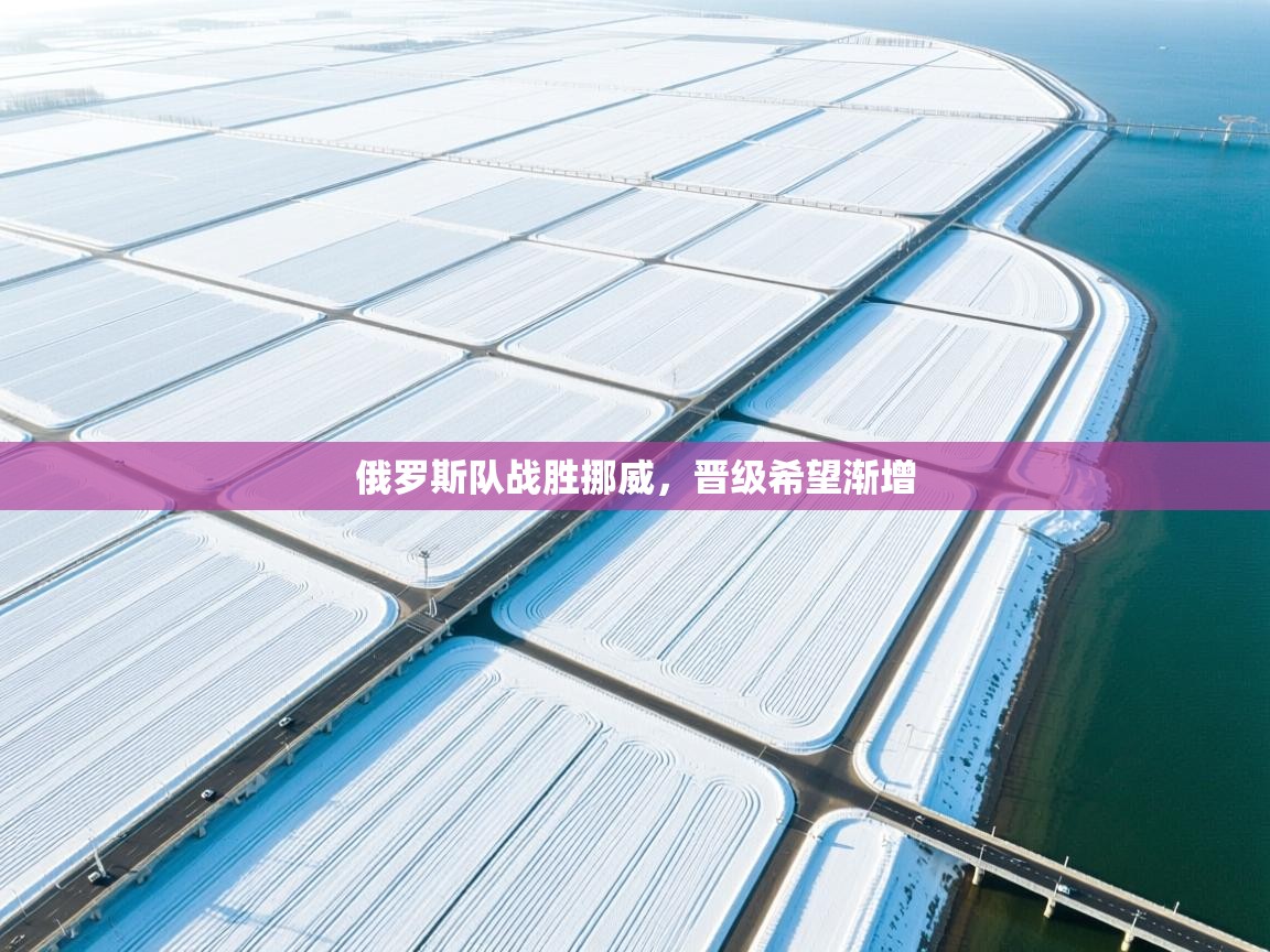 俄罗斯队战胜挪威,晋级希望渐增 第2张